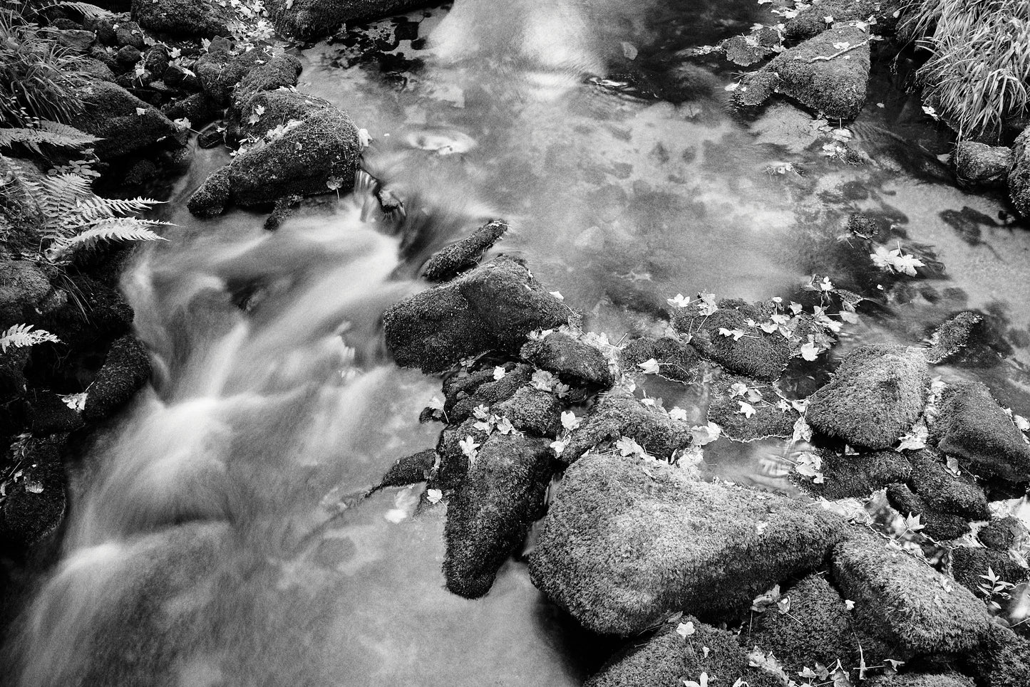 River Bedalder II, Bodmin