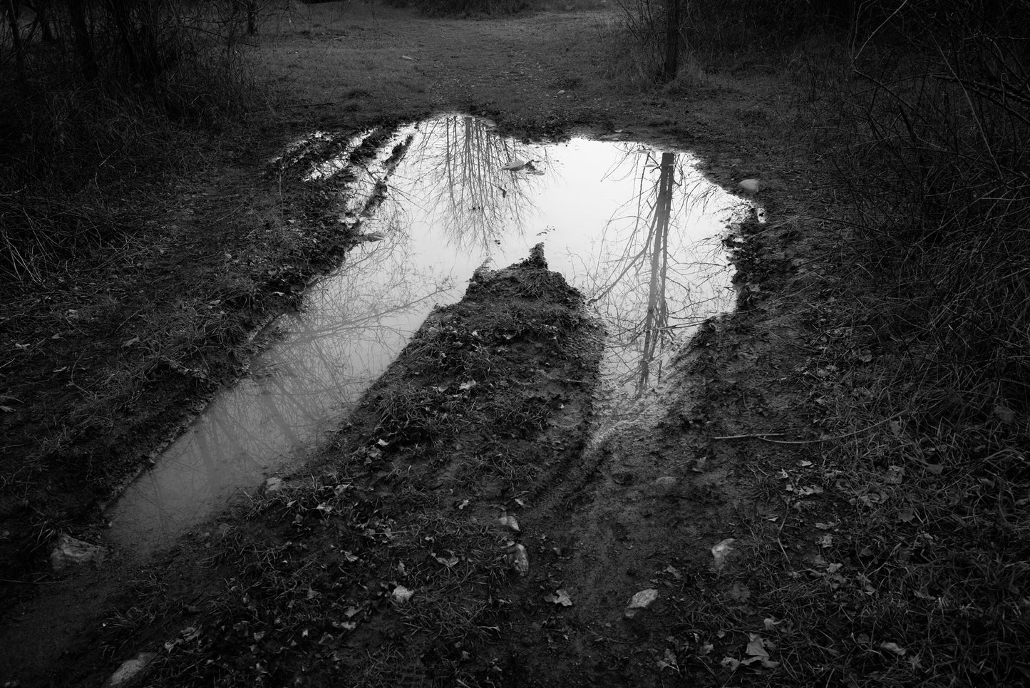 Puddle, Via Francigena, Villafranca