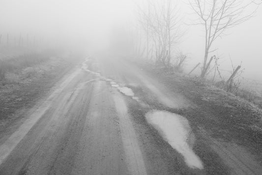 Foggy path, Zeri