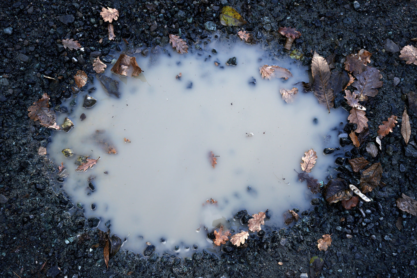 Puddles along my path III,