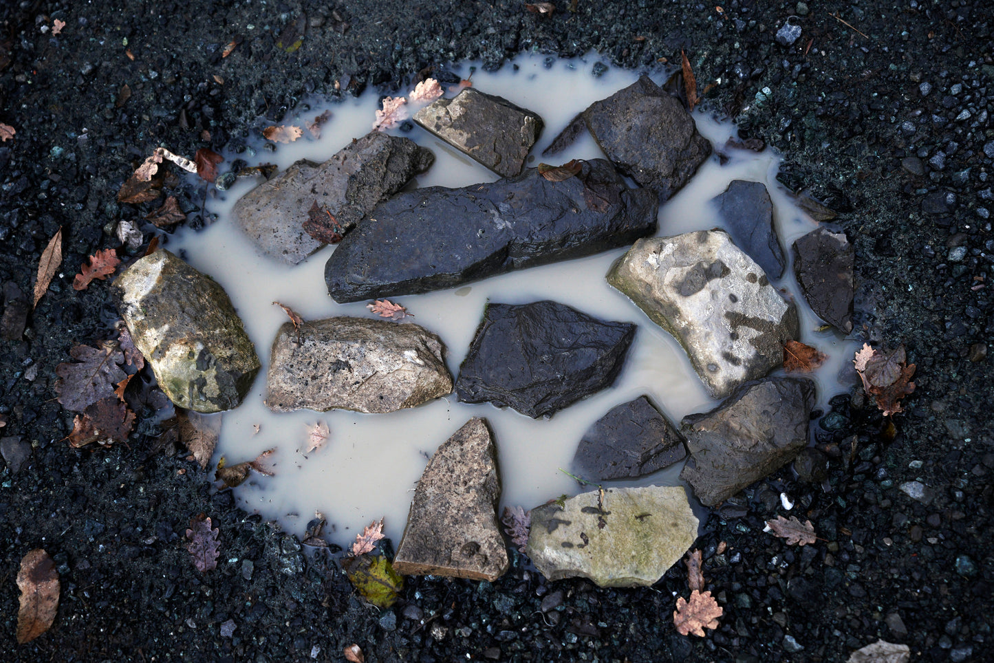 Puddles along my path I