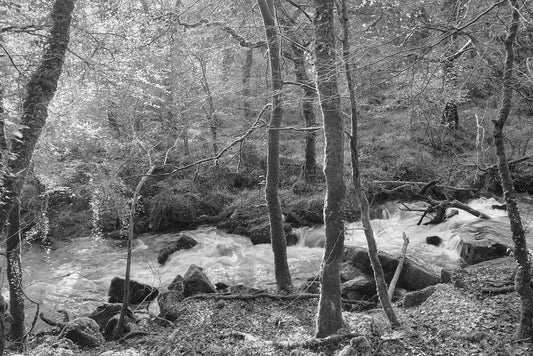 River Bedalder I, Bodmin