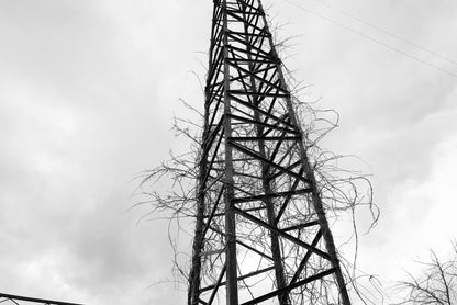 Crossed wires, Villafranca